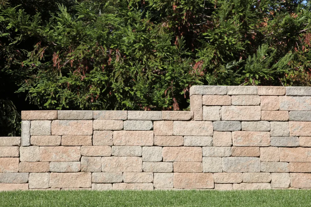 Multi-tone tan block retaining wall with a stepped top section in front of mature evergreens